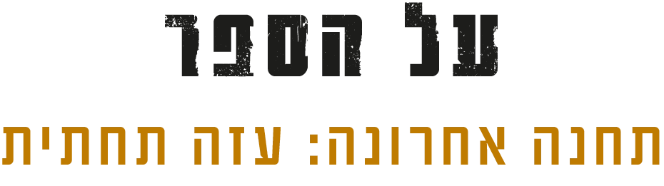 על הספר